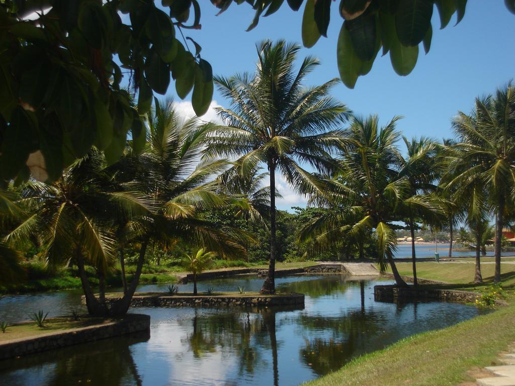 Bahia Plaza 4* Busca-Vida