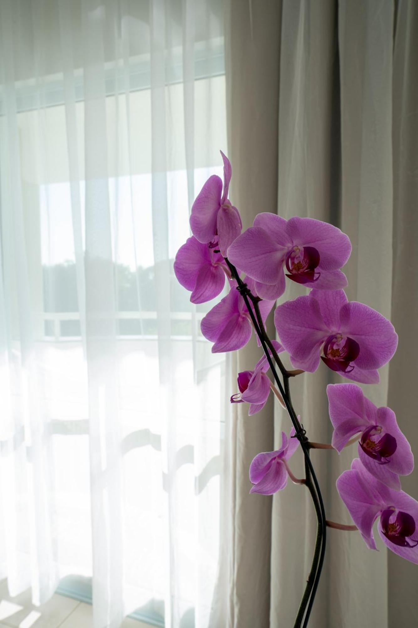 Hotel Bahia Plaza